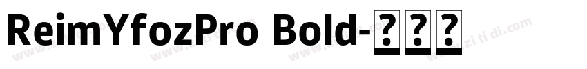 ReimYfozPro Bold字体转换
